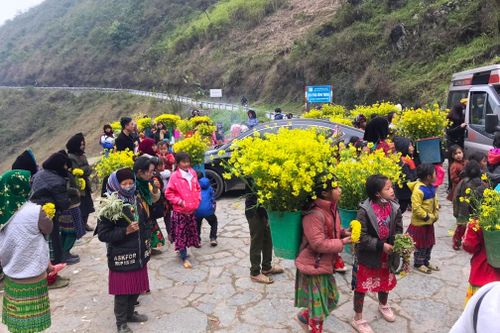Cấm trẻ em địu hoa, xin tiền du khách tại con dốc nổi tiếng Hà Giang