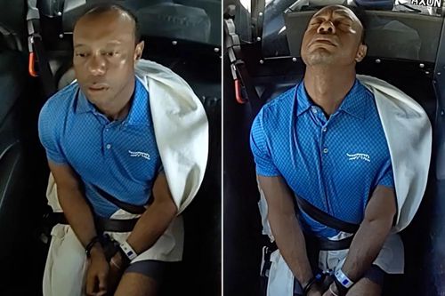 Tiger Wood cảm thấy 'xấu hổ và nhục nhã' khi bị bắt