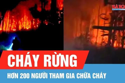 Hàng trăm người tham gia chữa cháy rừng ở Nghệ An