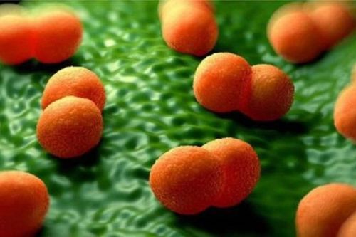 Cà Mau báo cáo 3 người nghi mắc não mô cầu,1 trường hợp đã tử vong