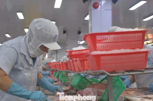 Cả vùng Đồng bằng sông Cửu Long chỉ có 24 tỷ USD vốn FDI
