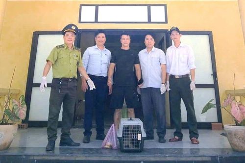 Huế: Cứu khỉ mặt đỏ mắc bẫy bị hoại tử một chân