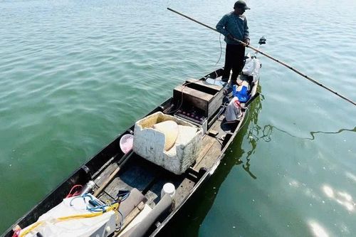 Dùng điện châm cá trên sông, người đàn ông bị xử phạt 7,5 triệu đồng