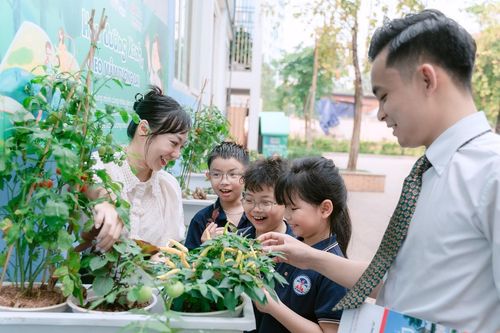 Vườn ươm học đường: Elmich Việt Nam gieo mầm sống xanh từ những điều nhỏ bé
