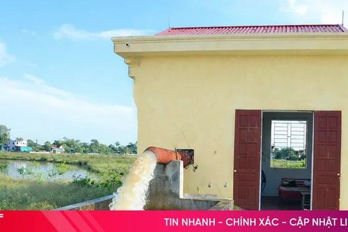 Nắng nóng gay gắt, chủ động điều tiết nước cho lúa Xuân trổ bông