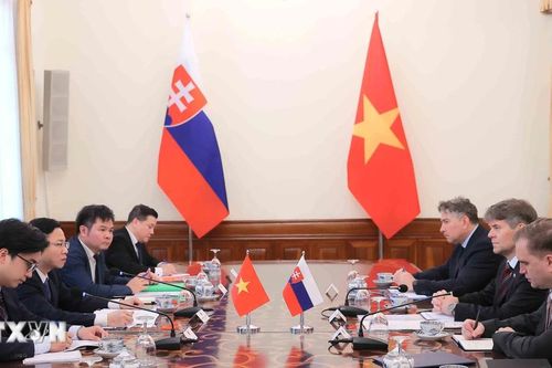 Thúc đẩy hợp tác thực chất trong quan hệ song phương Việt Nam-Slovakia