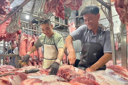 TP Hồ Chí Minh chính thức vận hành sàn giao dịch thịt lợn từ cuối tháng 4