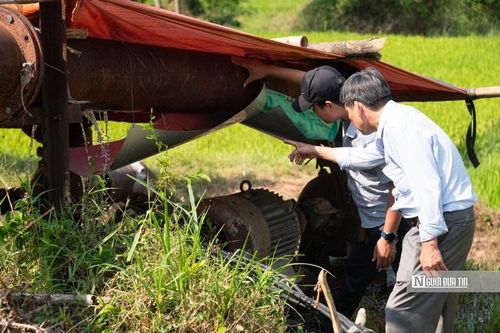 Nắng nóng kéo dài, nông dân 'nín thở' chờ nước cứu lúa