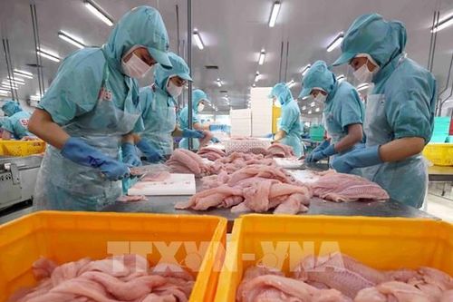 Kịch bản kinh tế 2026: Cơ hội và thách thức cho doanh nghiệp ĐBSCL