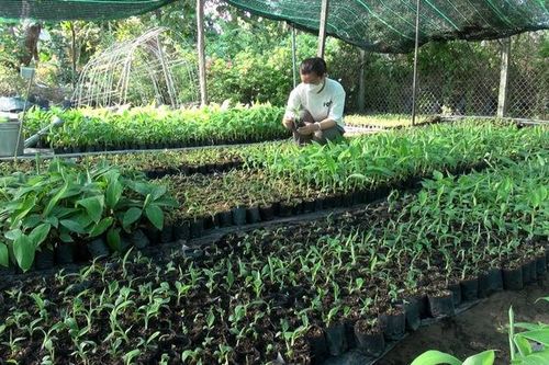 Việt Nam sẽ thí điểm chính sách 'doanh nghiệp một người'