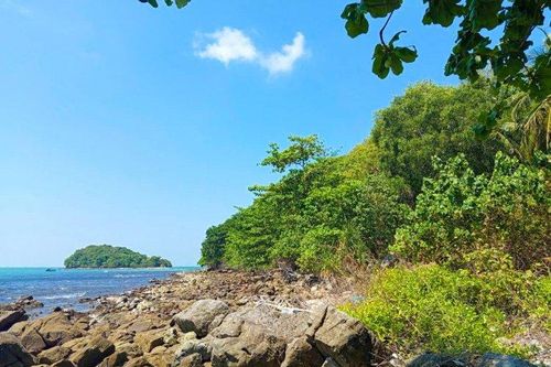 Đồi Mồi: Giữ đảo giữa 'ba không'