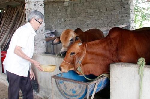 Trao sinh kế mở lối thoát nghèo