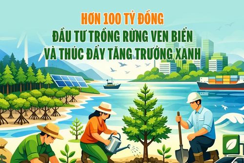 Hơn 100 tỷ đồng đầu tư trồng rừng ven biển và thúc đẩy tăng trưởng xanh