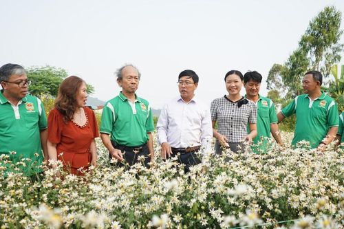 Nông dân An Khê làm đẹp phố thị