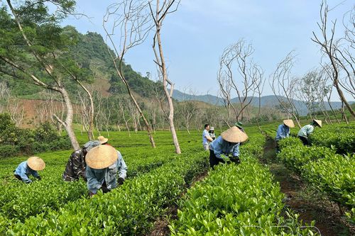 Sản xuất nông nghiệp xanh