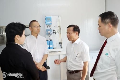 Môi trường xanh, nền tảng cho đô thị bền vững