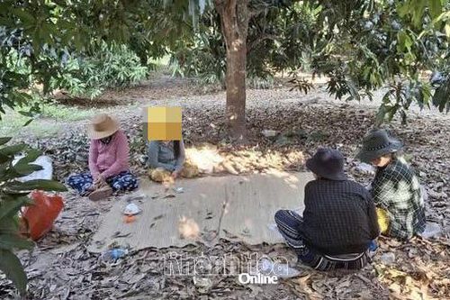 Công an xã Cam Hiệp triệt xóa điểm đánh bạc dưới hình thức xóc đĩa