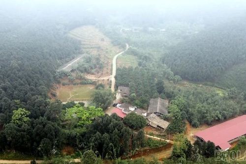 Quy Mông phát triển chăn nuôi theo hướng xanh, bền vững
