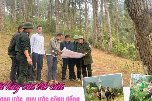 Phát huy vai trò của hương ước, quy ước cộng đồng