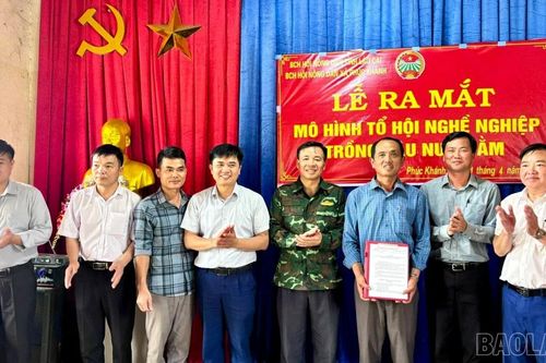Ra mắt mô hình tổ hội nông dân nghề nghiệp trồng dâu nuôi tằm