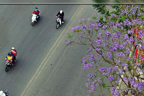 Mới tháng tư...