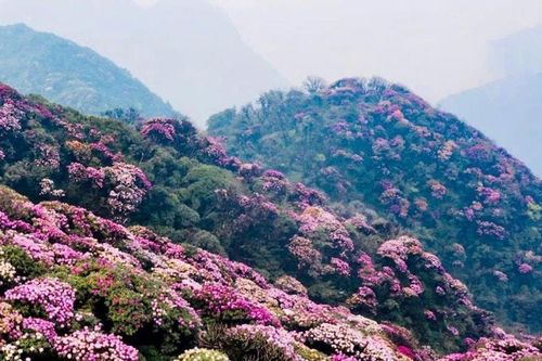 Nhớ núi tháng tư