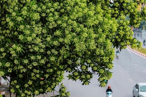 Ngọt ngào tháng tư