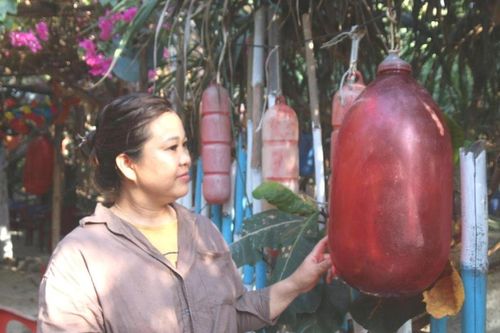 Cô Bảy Hòn Tranh 'lên đời' cho rác đại dương