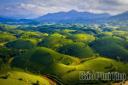 Tăng trưởng xanh - nền tảng phát triển bền vững