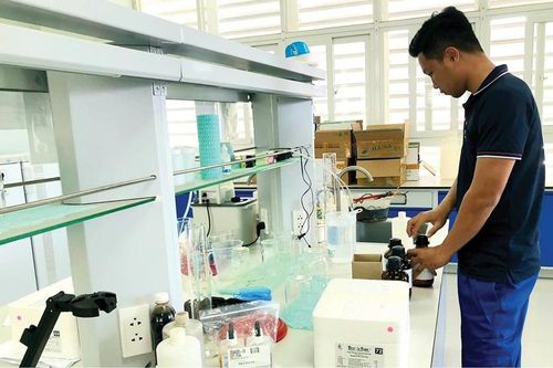 Ứng dụng công nghệ sinh học để phát triển bền vững