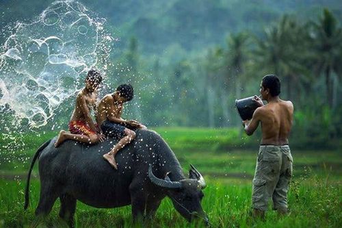 'Ký ức miền quê' (thơ)