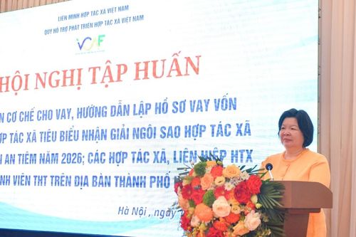 Gỡ nút thắt vốn cho HTX: Khi những 'ngôi sao' cũng cần 'bệ phóng'