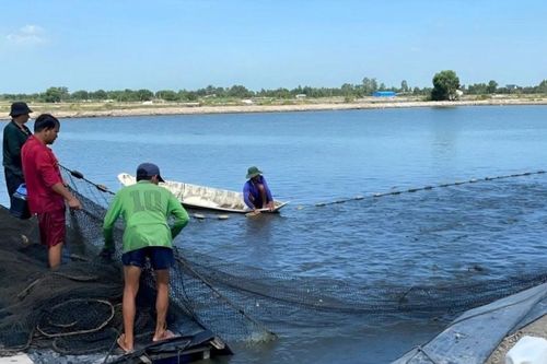 26 tỷ đồng từ Australia tài trợ cho ba dự án công nghệ nông nghiệp Việt