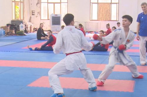Karate Việt Nam trước bước ngoặt luật thi đấu mới