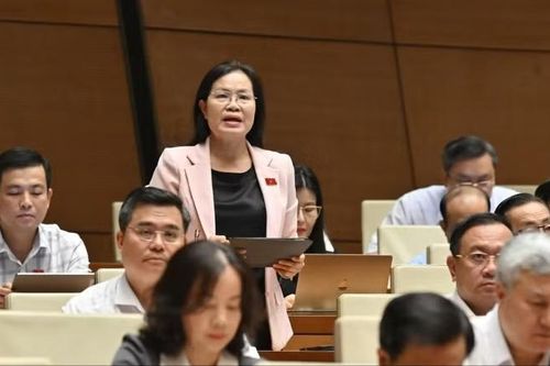 Giao nhiệm vụ chủ trì vụ việc cho cơ quan tư pháp chuyên môn