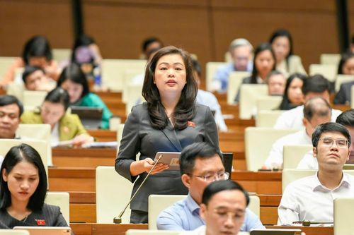 Đại biểu Quốc hội tỉnh Đoàn Thị Lê An phát biểu tại hội trường về dự thảo Luật sửa đổi, bổ sung một số điều của Luật Trợ giúp pháp lý