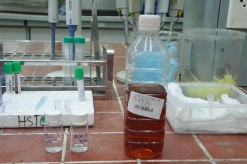 Điều gì xảy ra với cơ thể khi uống rượu chứa cồn công nghiệp?