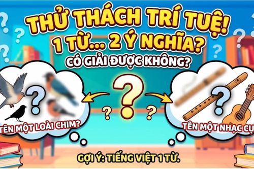 Câu đố tiếng Việt: Từ nào vừa là tên loài chim, vừa là tên nhạc cụ?