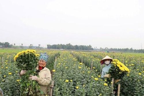 Góp trí tuệ xây dựng Đề án phát triển kinh tế - xã hội xã Hát Môn