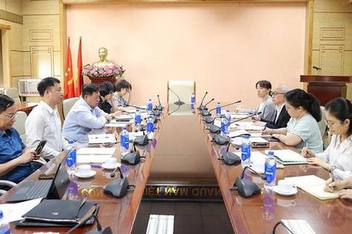 Thứ trưởng Đỗ Xuân Tuyên tiếp và làm việc với chuyên gia cố vấn chính sách y tế của Nhật Bản