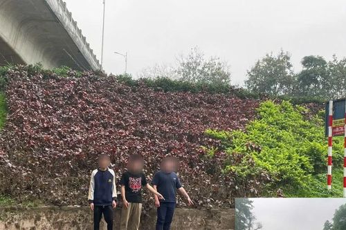 Khi những đứa trẻ bước qua 'lằn ranh đỏ' của pháp luật