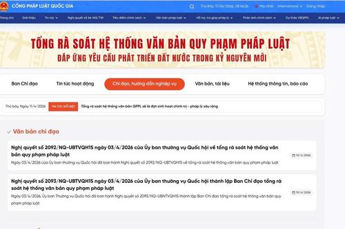 Chuyên mục 'Tổng rà soát văn bản quy phạm pháp luật' giúp người dân tiếp cận nhanh với các chính sách mới