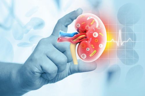 5 cách tự nhiên để bảo vệ thận, tránh suy thận mùa nắng nóng