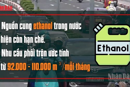 Đề xuất triển khai xăng E10 trên toàn quốc từ ngày 30/4