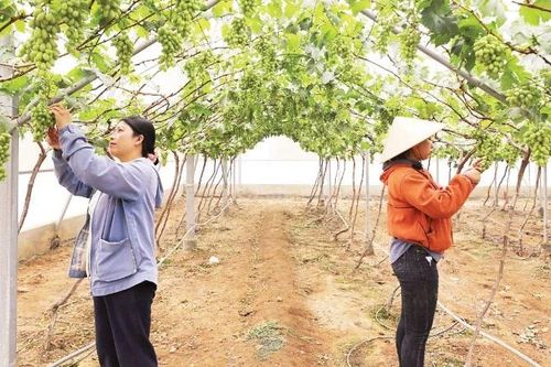 Hành trình của sự chuyển mình