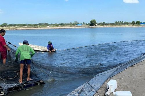 Việt Nam-Australia thúc đẩy đổi mới sáng tạo trong nông nghiệp bền vững