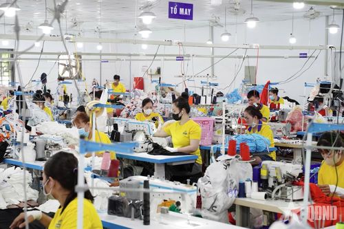 Lao động trẻ 'nhảy việc': Cơ hội và hệ lụy