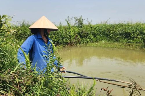 Người dân thiếu nước sạch giữa mùa nắng nóng vì nhà máy cấp nước hư hệ thống bơm