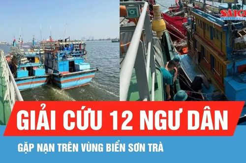 Ứng cứu tàu cá bị thủng đáy trên vùng biển Sơn Trà