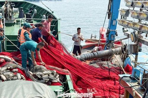 Hải đội Dân quân thường trực Đà Nẵng cứu hộ tàu cá gặp nạn trên biển